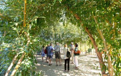 From Root to Bottle: A Regenerative Agriculture Winery