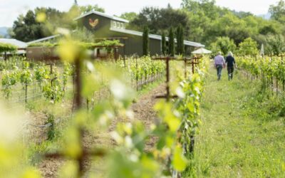 What Is Biodynamic Wine? A Guide to Our Farming Philosophy