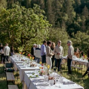 Guests enjoying a scenic outdoor wine tasting experience at DaVero Winery in Healdsburg, Sonoma County, surrounded by nature.
