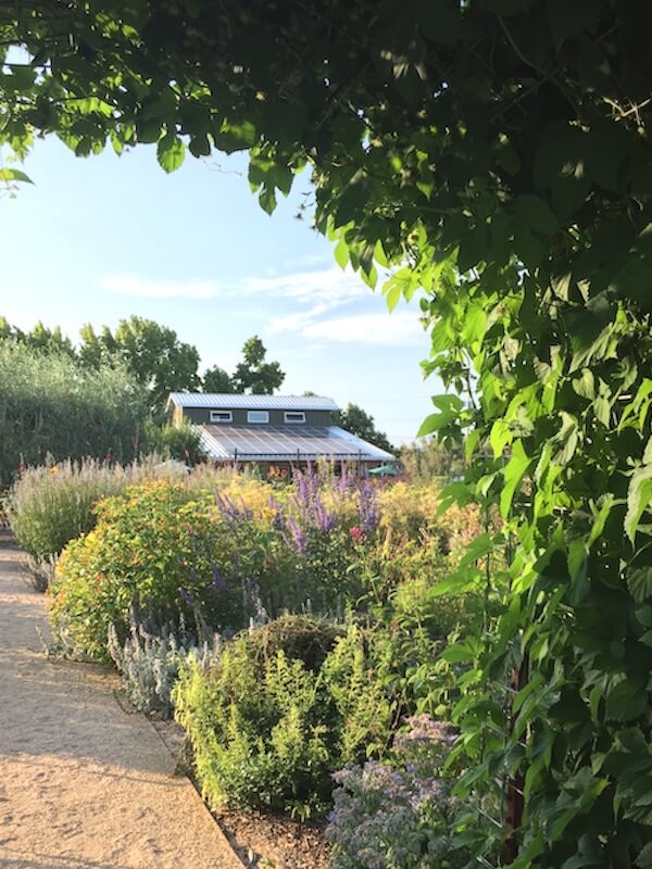 photo of davero building and gardn