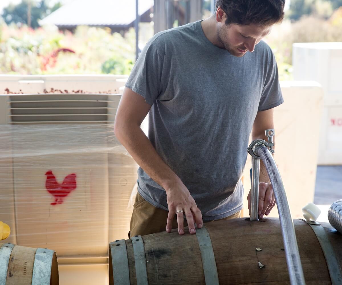 wine maker filling barrel with wine